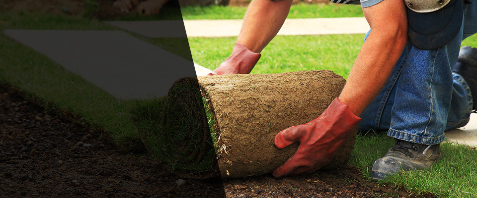 Rome Landscapers